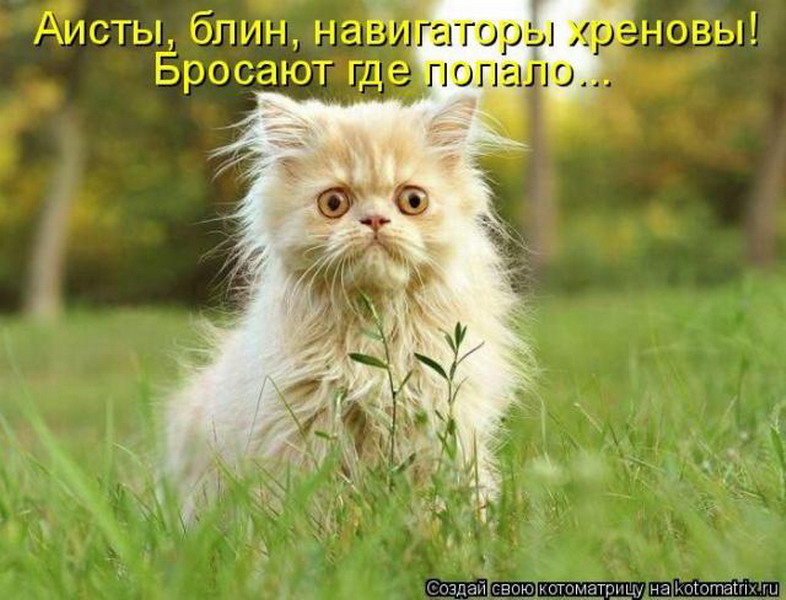 Котоматрицы