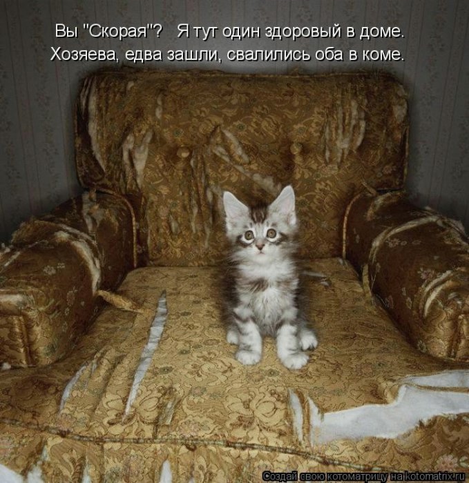 Котоматрицы