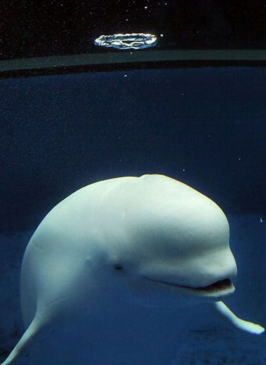 Понемногу обо всем