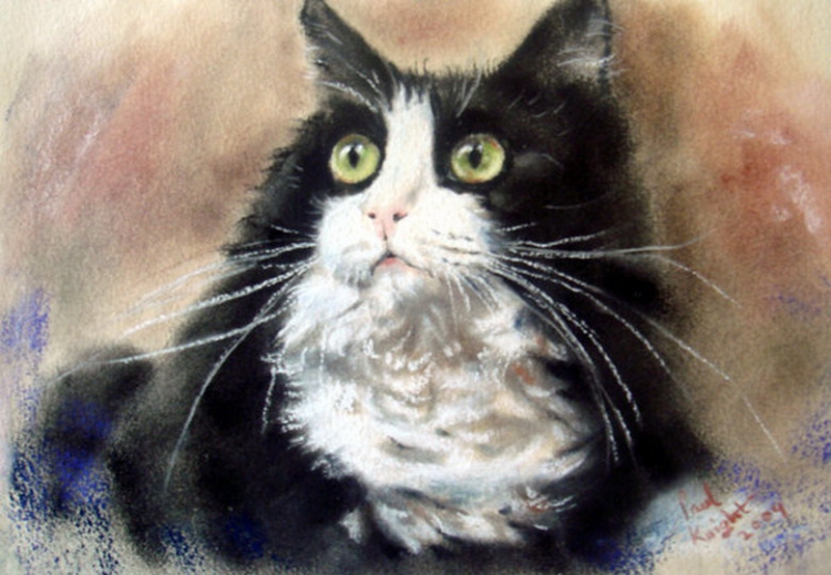 Коты в пастельных тонах