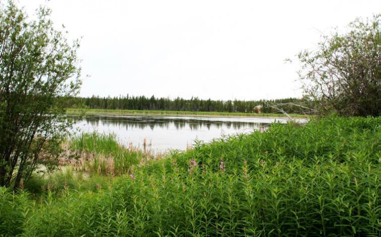 Природа во всей красе