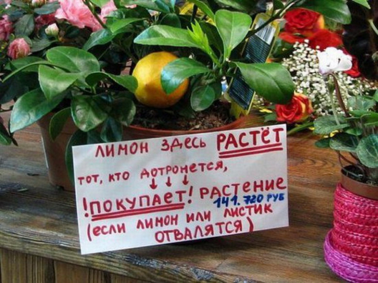 Веселые картинки