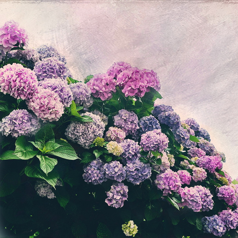 Наш мир в фотографиях