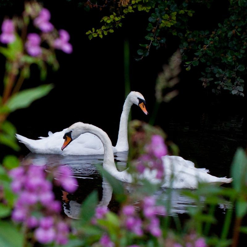 Наш мир в фотографиях