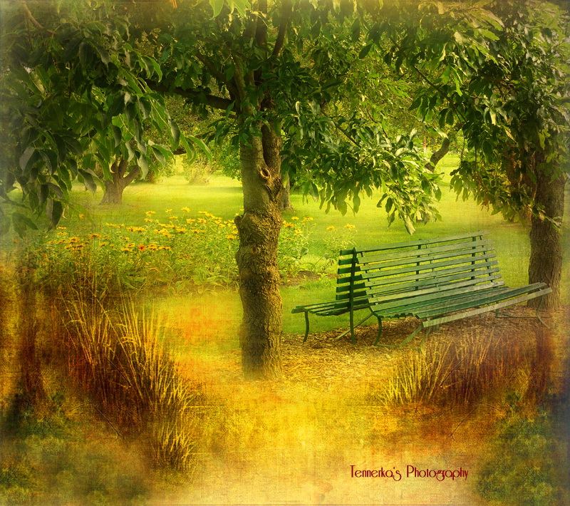 Наш мир в фотографиях