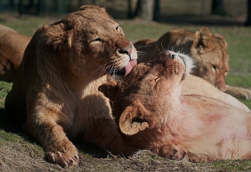 Наш мир в фотографиях