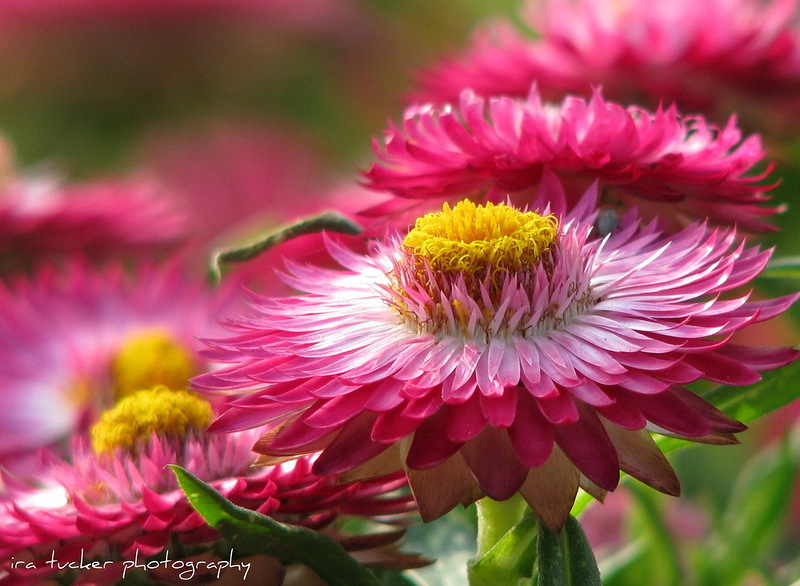 Наш мир в фотографиях