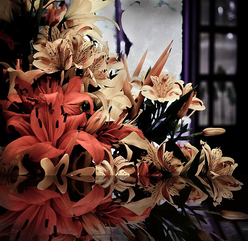 Наш мир в фотографиях