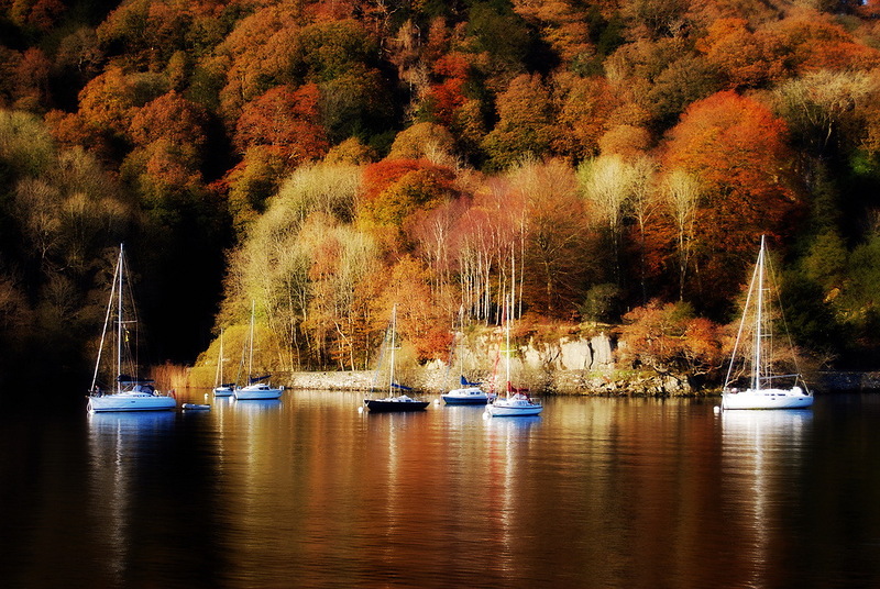 Наш мир в фотографиях