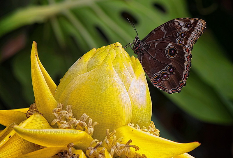 Наш мир в фотографиях