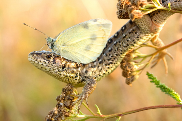Наш мир в фотографиях