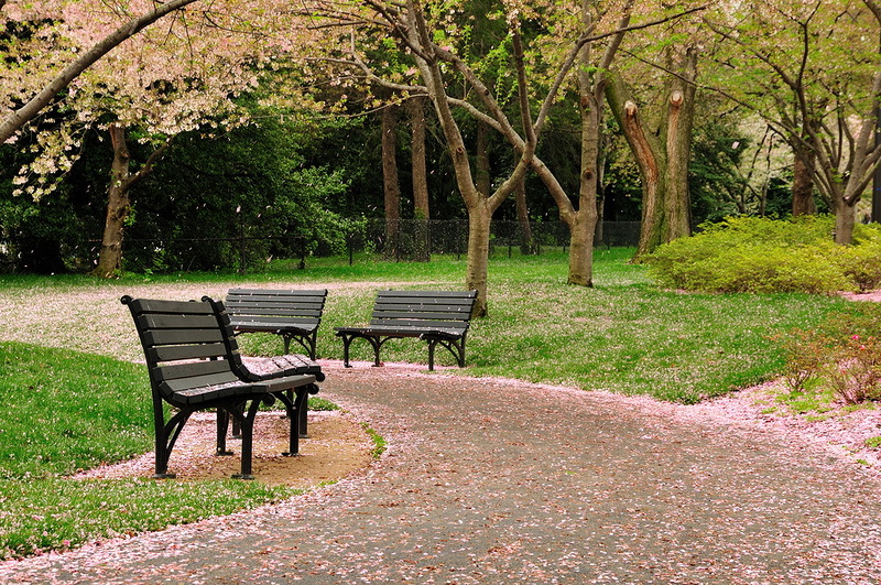 Наш мир в фотографиях