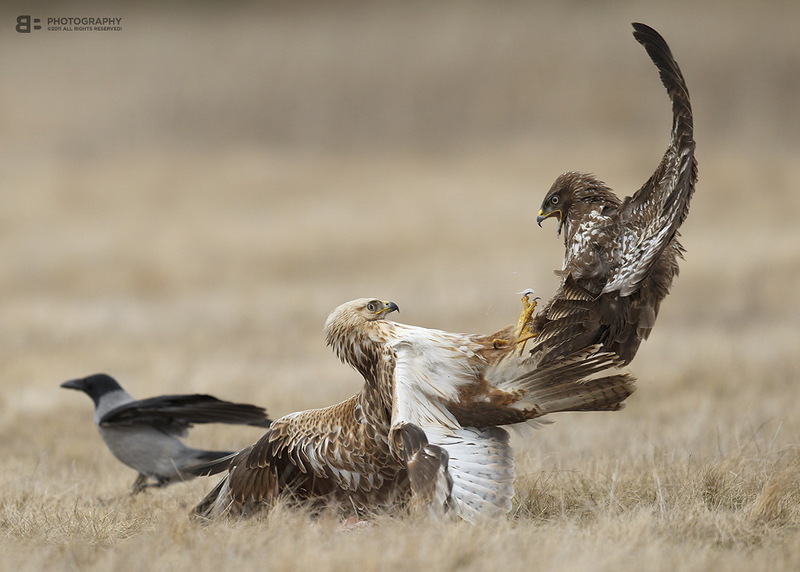 Наш мир в фотографиях