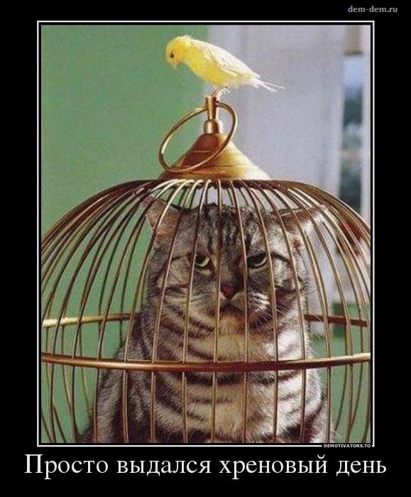 Демотиваторы 525