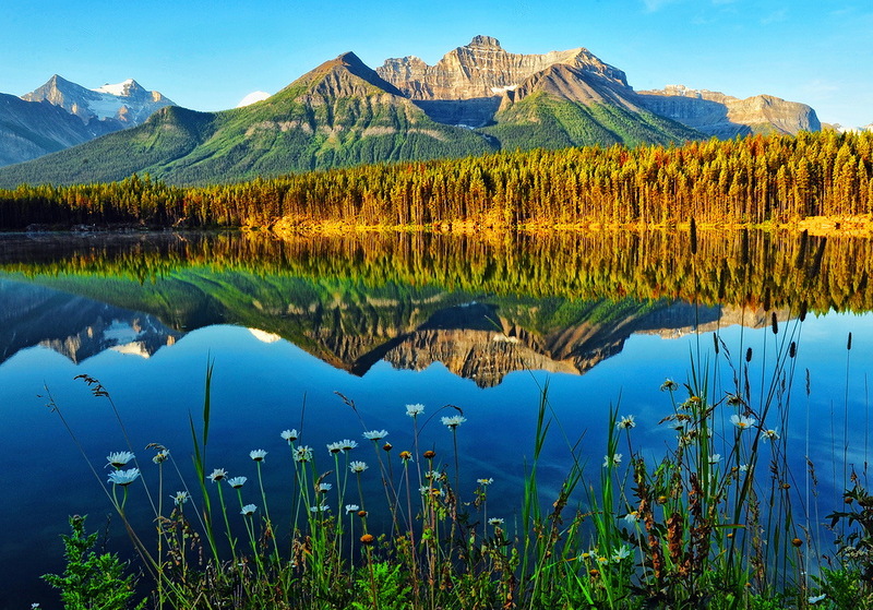 Наш мир в фотографиях