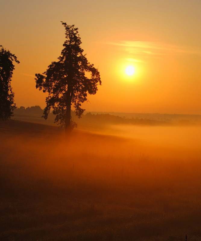 Наш мир в фотографиях