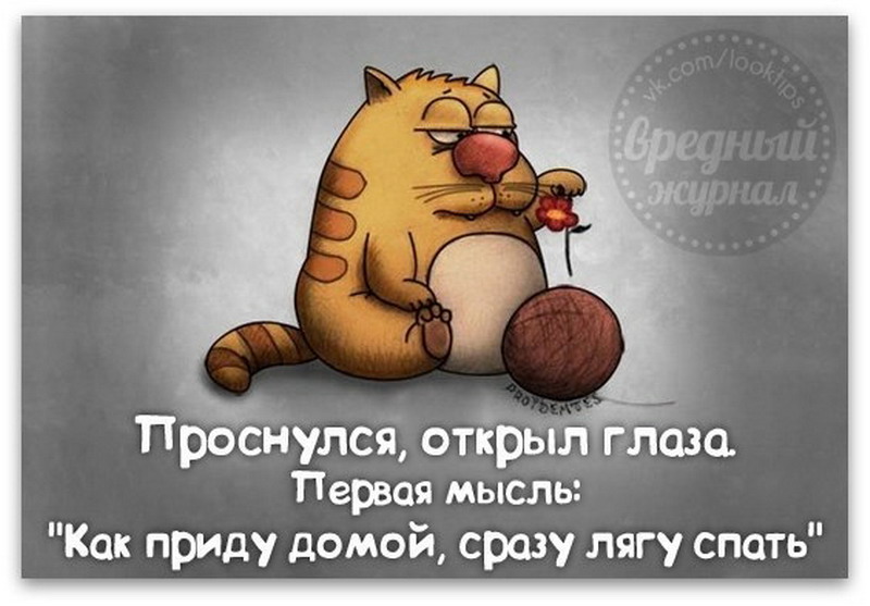 Мысли с картинками