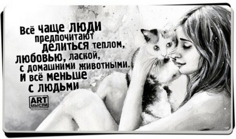 Мысли с картинками