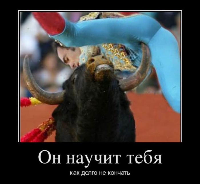 Демотиваторы 586