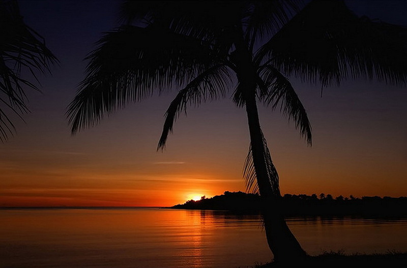 Наш мир в фотографиях