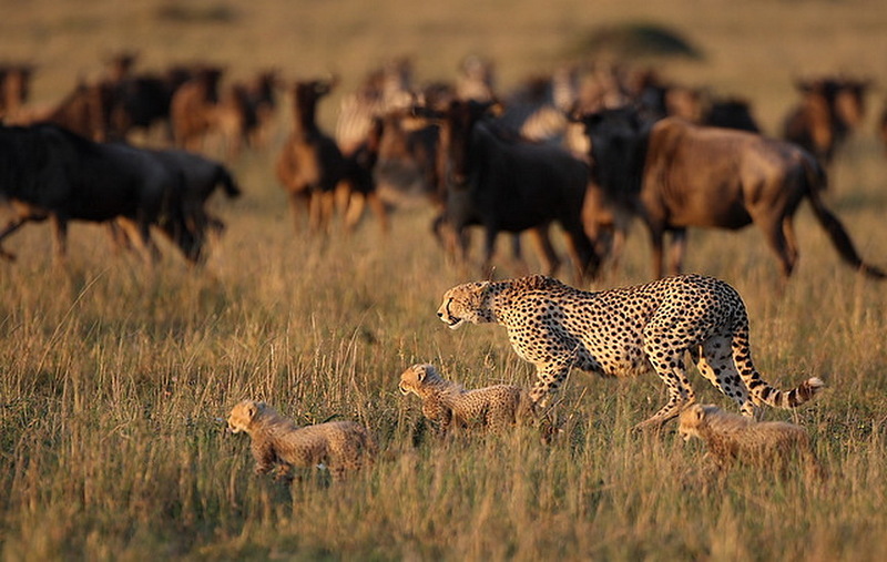 Наш мир в фотографиях