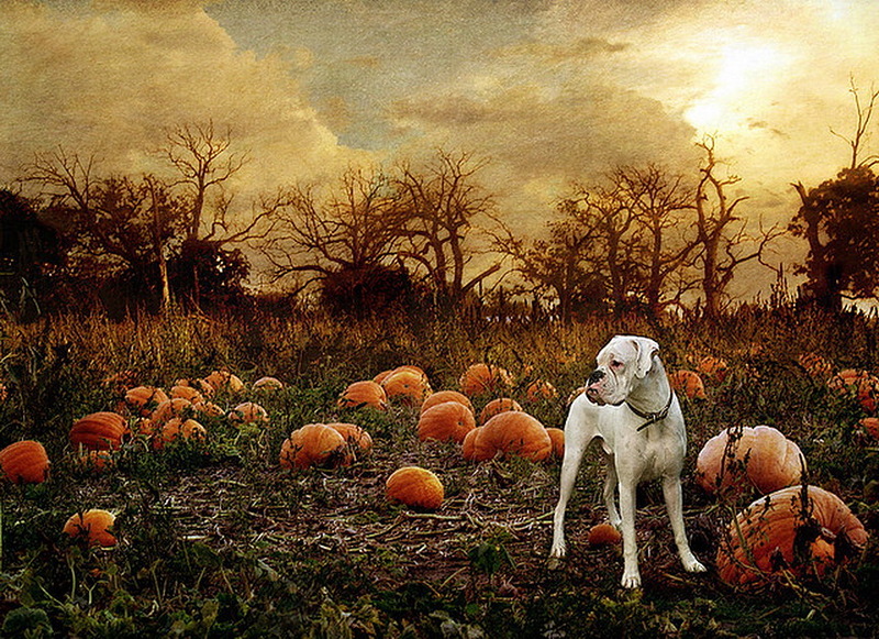 Наш мир в фотографиях