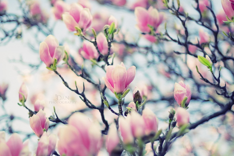 Наш мир в фотографиях