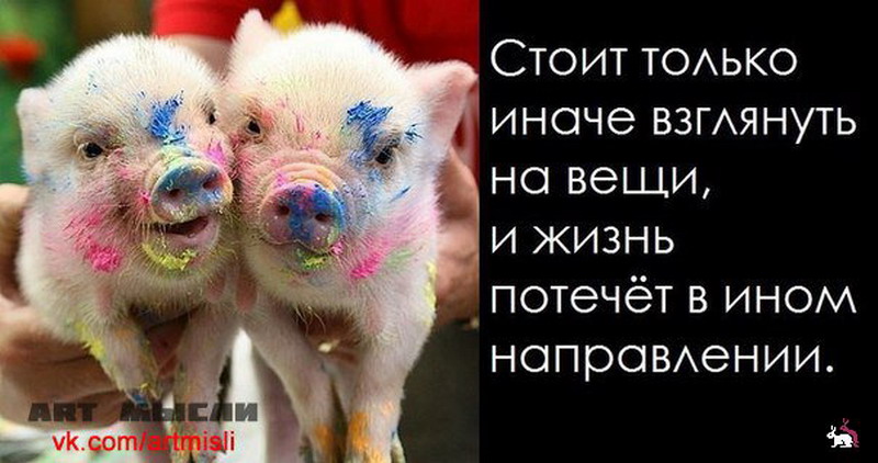 Мысли с картинками