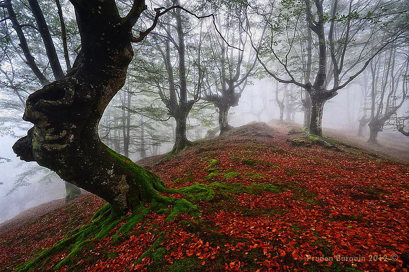 Наш мир в фотографиях