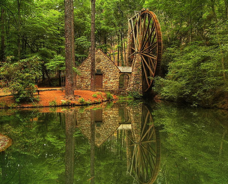 Наш мир в фотографиях