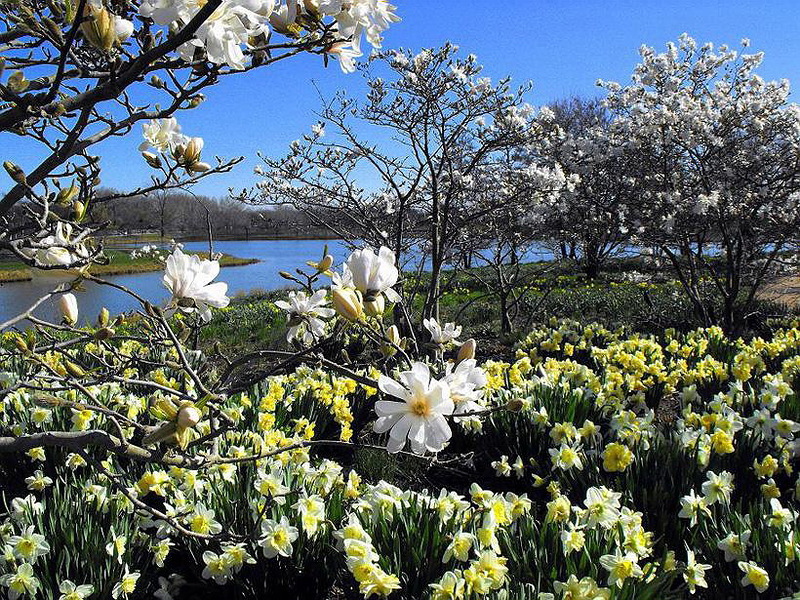 Наш мир в фотографиях