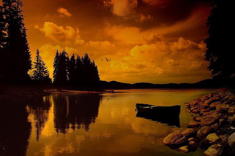 Наш мир в фотографиях