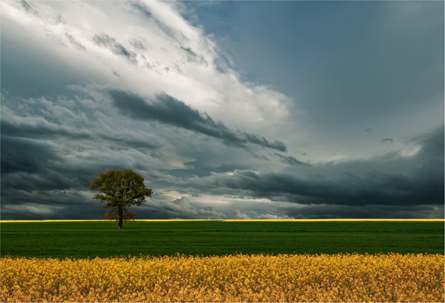 Наш мир в фотографиях