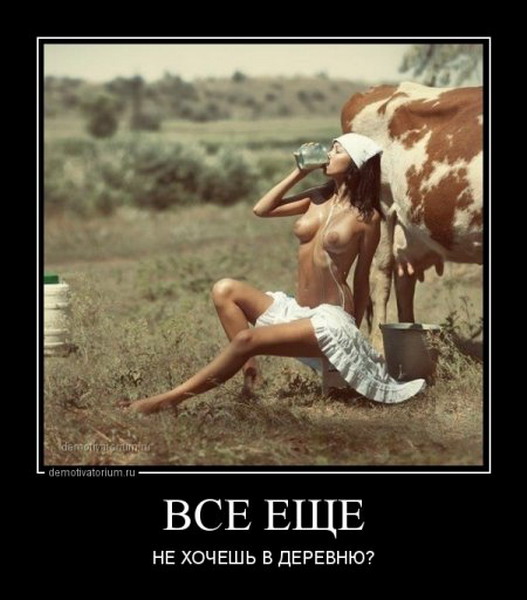 Демотиваторы 625