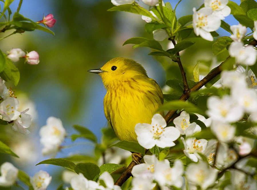 Наш мир в фотографиях