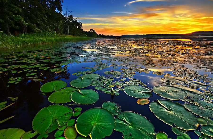 Наш мир в фотографиях