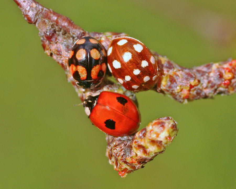 Наш мир в фотографиях
