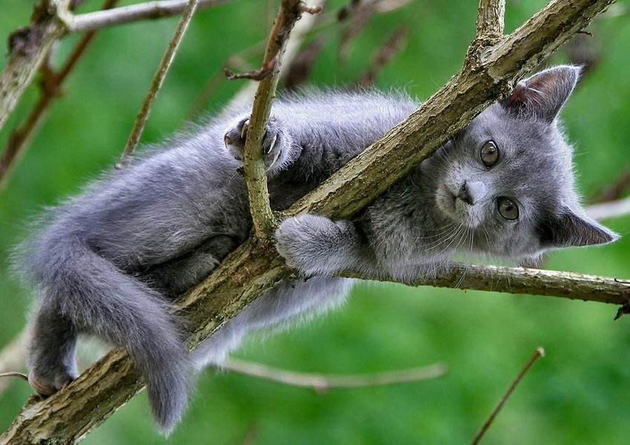 Наш мир в фотографиях