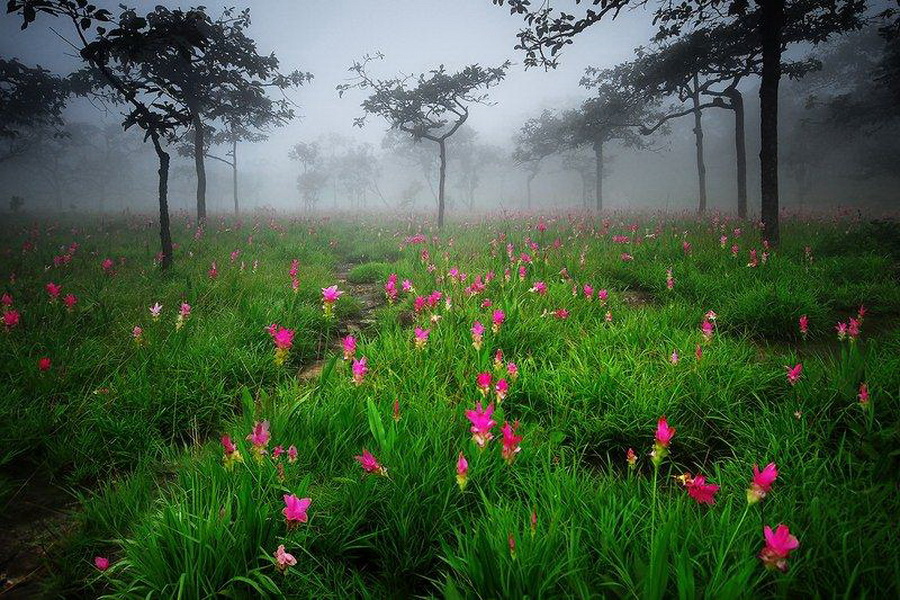 Наш мир в фотографиях