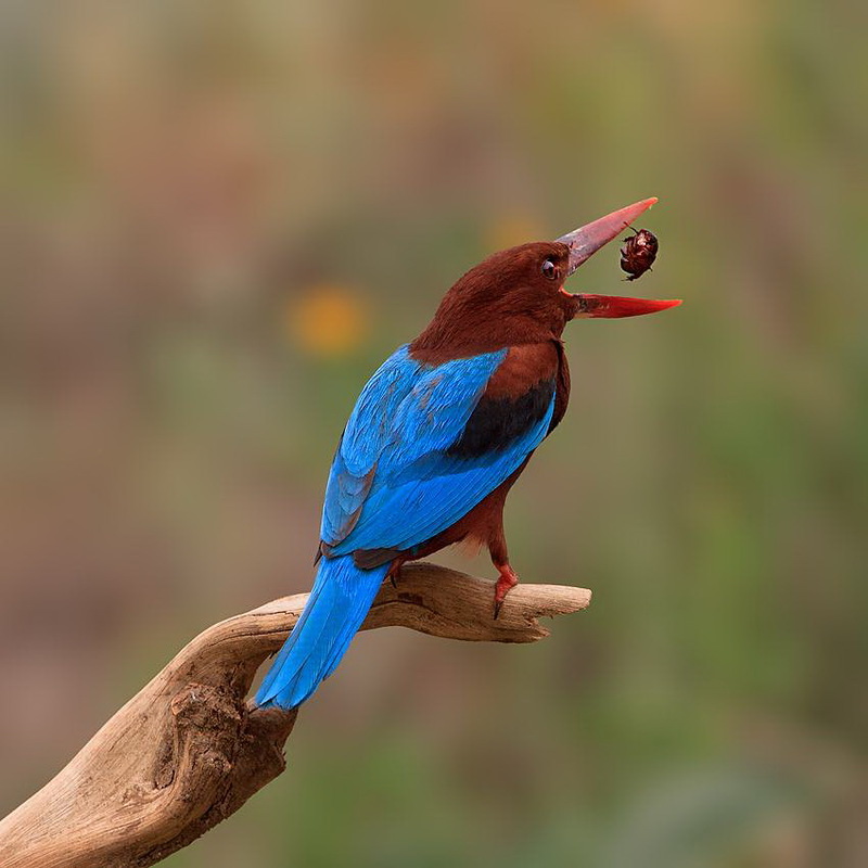 Наш мир в фотографиях