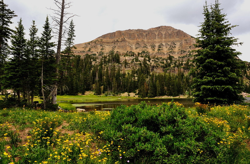 Наш мир в фотографиях