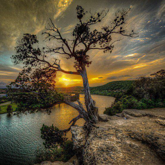 Наш мир в фотографиях