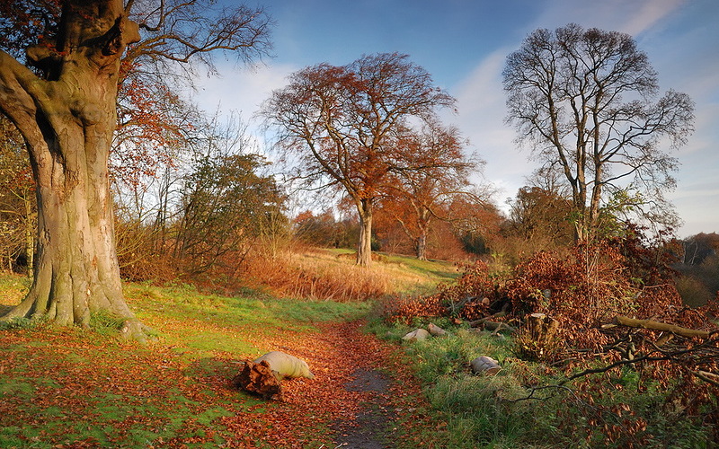Наш мир в фотографиях