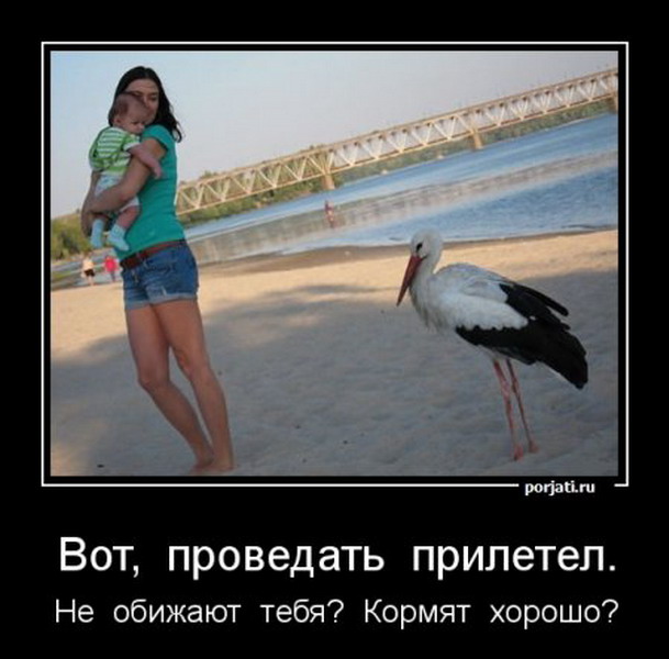 Демотиваторы 686