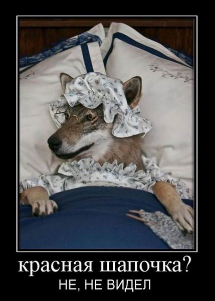 Демотиваторы 686