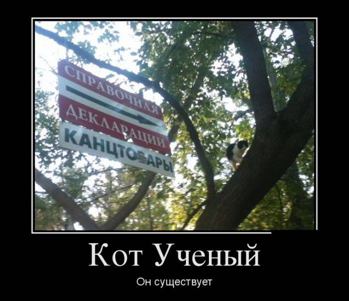 Демотиваторы 686