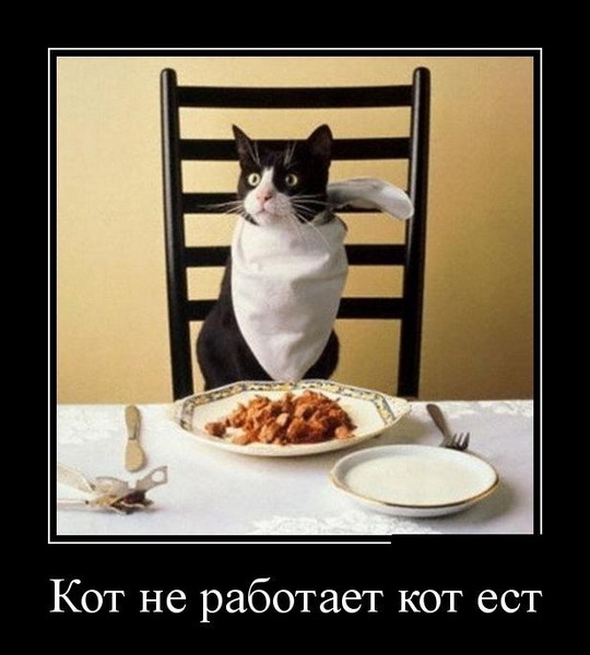 Демотиваторы 727