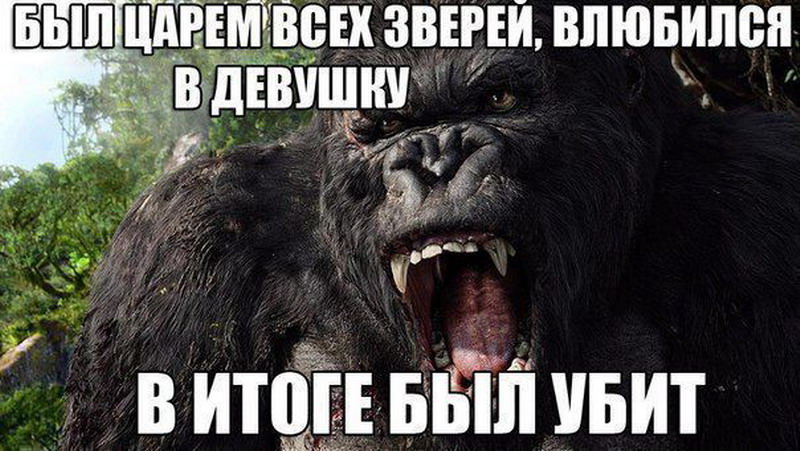 Во всем виноваты женщины