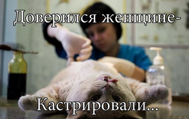 Во всем виноваты женщины