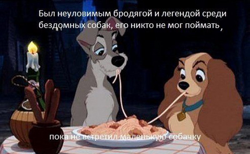 Во всем виноваты женщины